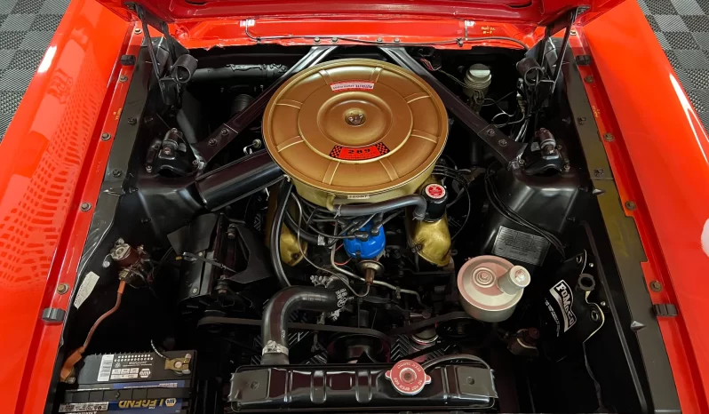 
								1965 Ford Mustang full									